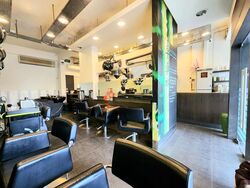 Serangoon Avenue 3 (D19), Shop House #460172941